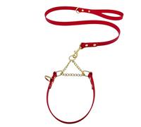 L&J Pets UK Martingale Dog Collar & Lead Set | Waterproof & Odour Proof | BioThane Webbing | Solid Brass Chain | Made in UK (Red, XS)