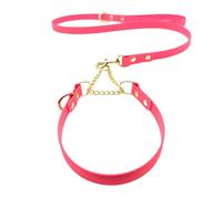 L&J Pets UK Martingale Dog Collar & Lead Set | Waterproof & Odour Proof | BioThane Webbing | Solid Brass Chain | Made in UK (Neon Pink, S)