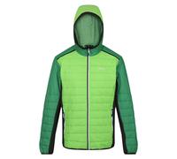 Regatta Mens Trutton II Baffled Padded Jacket - Jasmine Green/Field Green - L - Jasmine Green/Field Green - 90% Polyester/10% Elastane