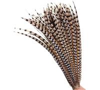 l Lady Amherst Pheasant Feathers for Crafts,Long Big Feather On The Head DIY Holiday Carnival (Color : 140-150CM 56-60inch, Size : 30 Piece)-10 Piece-40-45cm 16-18inch