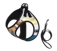 L Leash Vest Dog Harness - Small Sized Cinque Terre scenery Print Pet Leash SetReflective for Outdoor and Dog Walking