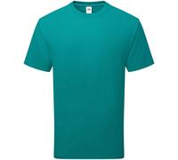 (L, Ocean Teal) Fruit of the Loom Unisex Adult Cotton T-Shirt