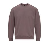 (L, Paragon) Gildan Unisex Adult Softstyle Fleece Midweight Sweatshirt