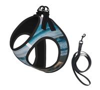 L Pet Leash Vest Dog Harness – Small Sized Beach and sea Print Leash Set with Buckle, Canine Companion Outdoor dog walking