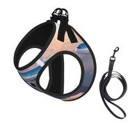 L Pet Leash Vest Dog Harness â€“ Small Sized Beautiful Sky Airplane Print Leash Set with Buckle, Canine Companion Outdoor dog walking