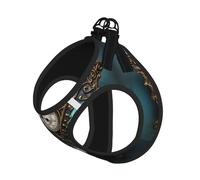 L Pet Leash Vest Dog Harness â€“ Small Sized Clock Butterfly Print Leash Set with Buckle, Canine Companion Outdoor dog walking