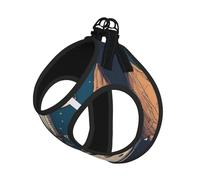 L Pet Leash Vest Dog Harness â€“ Small Sized Funny Astronaut Dinosaur Rocke Print Leash Set with Buckle, Canine Companion Outdoor dog walking