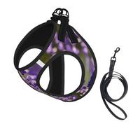 L Pet Leash Vest Dog Harness – Small Sized Lavender Flower s Print Leash Set with Buckle, Canine Companion Outdoor dog walking