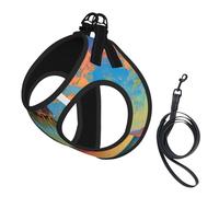 L Pet Leash Vest Dog Harness â€“ Small Sized Sunset Palm Print Leash Set with Buckle, Canine Companion Outdoor dog walking