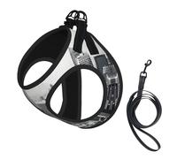 L Pet Leash Vest & Dog Harness - Small Sized black and white New York Print Leash Set, Reflective, Adjustable for Cats & Dogs