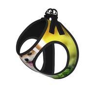 L Pet Leash Vest & Dog Harness - Small Sized Cute Fluffy Puppy Dog Print Leash Set, Reflective, Adjustable for Cats & Dogs