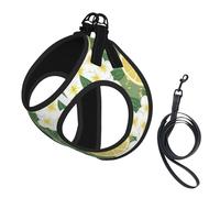 L Pet Leash Vest & Dog Harness - Small Sized Fresh Lemon Print Leash Set, Reflective, Adjustable for Cats & Dogs