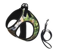 L Pet Leash Vest & Dog Harness - Small Sized Jungle Tigers Cub Print Leash Set, Reflective, Adjustable for Cats & Dogs
