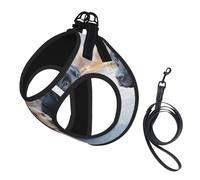 L Pet Leash Vest Dog Harness - Small Sized, labrador dogs Print Adjustable for Outdoor Travel and Walking