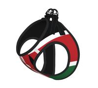 L Pet Leash Vest Dog Harness - Small Sized Leash Set, Flag of Kenya Print Puppy Breathable Mesh for Canine Companions