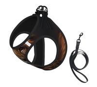 L Pet Leash Vest Dog Harness - Small Sized Leash Set, The Lion's Gaze Print Puppy Breathable Mesh for Canine Companions