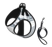 L Pet Leash Vest & Dog Harness - Small Sized Nautical Sailboat Map Print Leash Set, Reflective, Adjustable for Cats & Dogs