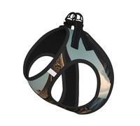 L Pet Leash Vest & Dog Harness - Small Sized Old Viking Boat Print Leash Set with Buckle, Canine Companion Outdoor Travel