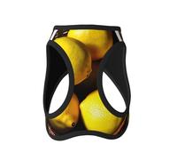 L Pet Leash Vest & Dog Harness - Small Sized One Basket Lemons Print Leash Set with Buckle, Canine Companion Outdoor Travel