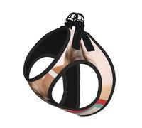 L Pet Leash Vest & Dog Harness - Small Sized Papillon in the box Print Leash Set, Reflective, Adjustable for Cats & Dogs