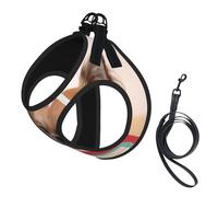 L Pet Leash Vest & Dog Harness - Small Sized Papillon in the box Print Leash Set, Reflective, Adjustable for Cats & Dogs