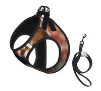 L Pet Leash Vest & Dog Harness - Small Sized Red panda Print Leash Set, Reflective, Adjustable for Cats & Dogs