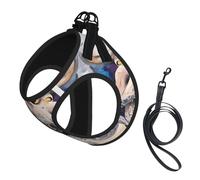 L Pet Leash Vest Dog Harness - Small Sized, Retro Octopus Print Adjustable for Outdoor Travel and Walking
