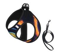 L Pet Leash Vest & Dog Harness - Small Sized Space Spiral Cosmic Energy Print Leash Set with Buckle, Canine Companion Outdoor Travel