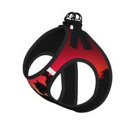 L Pet Leash Vest & Dog Harness - Small Sized Texas Cowboy Print Leash Set, Reflective, Adjustable for Cats & Dogs