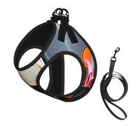 L Pet Leash Vest & Dog Harness - Small Sized Violin and Book Print Leash Set with Buckle, Canine Companion Outdoor Travel