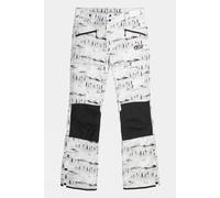 L Picture Mens Plan Printed Ski Pants - Regular White Size