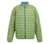 Regatta Men's Hillpack II Insulated Jacket - Piquant Green - Piquant Green - L