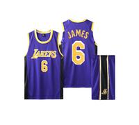(L, Purple) Los Angeles Lakers No. 6 LeBron James adult and children's jersey set