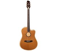 L.R.Baggs AEG 1 E-Acoustic Torrefied