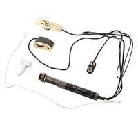 L.R.Baggs Anthem Classical