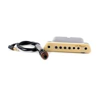 L.R. Baggs M1 Active Magnetic Soundhole Pickup