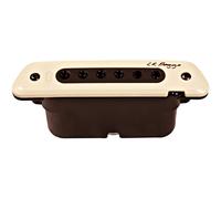 L.R.Baggs M80