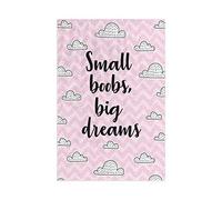 L&S PRINTS FOAM DESIGNS 58” x 39” Microfibre Beach Towel Small Boobs Big Dreams Pool Sunbathing Hilarious Gift