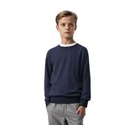 L S U Boys Crew Neck School Jumpers Kids Adults Smart Sweatshirts Age 3 to 18 Years Unisex Sweater (as8, age, 14_years, 15_years, regular, Navy)