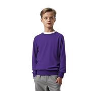 L S U Boys Crew Neck School Jumpers Kids Adults Smart Sweatshirts Age 3 to 18 Years Unisex Sweater (as8, Age, 7_Years, 8_Years, Regular, Purple)