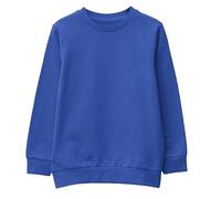 L S U Boys Crew Neck School Jumpers Kids Adults Smart Sweatshirts Age 3 to 18 Years Unisex Sweater (as8, Age, 9_Years, 10_Years, Regular, Royal Blue)
