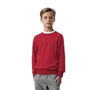 L S U Boys Crew Neck School Jumpers Kids Adults Smart Sweatshirts Age 3 to 18 Years Unisex Sweater (as8, Age, 7_Years, 8_Years, Regular, Red)