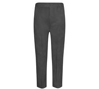 L S U Boys Generous Waist Sturdy Fit School Trousers Plus Fit Elasticated Age 4 to 16 Years (8-9 Years Plus Size, Grey)