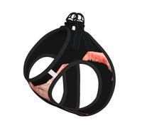L Small Dog Harness flamingo Print Vest, Walking Set | Circumference Cat Comfort No-Chock Step-In Safety Buckle Canine Companion Outdoor Travel Dog Walking Pet Wear