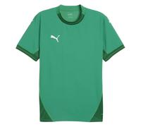 (L, Sport Green) Puma Mens TeamFinal Jersey T-Shirt