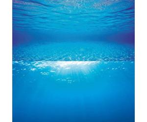(L, Underwater Shallows/Underwater Sun) Juwel Aquarium Double Sided Poster Background