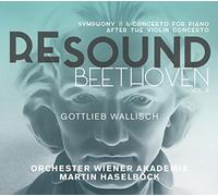 L. V. Beethoven - Resound Beethoven 6