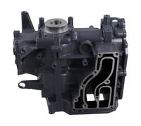 L10A Crankcase Assembly Compatible With 9.9HP 15HP Outboard Motor 2 Stroke 63V-15100 63V-15100-00-94 63V-15100-02-1S
