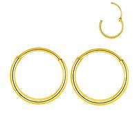 L7L7WM 316L Surgical Steel Endless Hoop Earrings Nose Rings Hinged Segment Rings Cartilage Earrings Hoop Septum Rings Daith Helix Rook Conch Tragus Piercing Jewelry Lip Rings, Stainless Steel,Steel