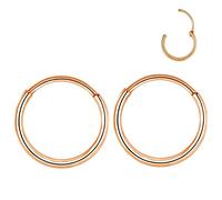 L7L7WM 316L Surgical Steel Endless Hoop Earrings Nose Rings Hinged Segment Rings Cartilage Earrings Hoop Septum Rings Daith Helix Rook Conch Tragus Piercing Jewelry Lip Rings, Stainless Steel,Steel